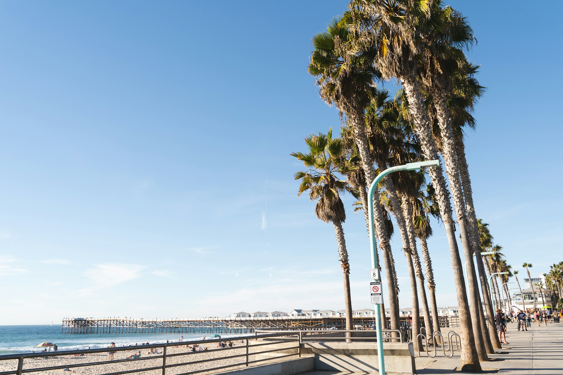 Palm trees and beachgoers beside the ocean in Venice, California
